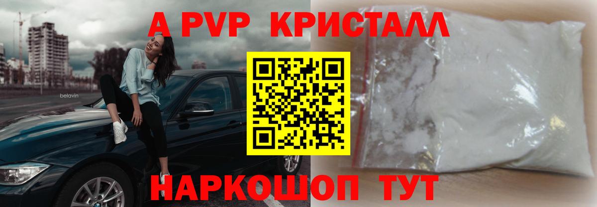 A PVP СК КРИС Моздок