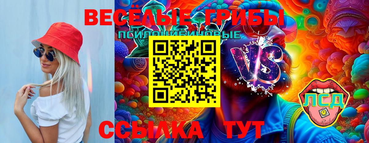 наркота  Вход с VPN  Моздок  Галлюциногенные грибы ЛСД 